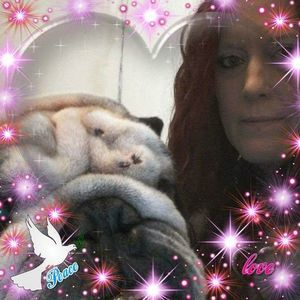 Meet your Posher, April